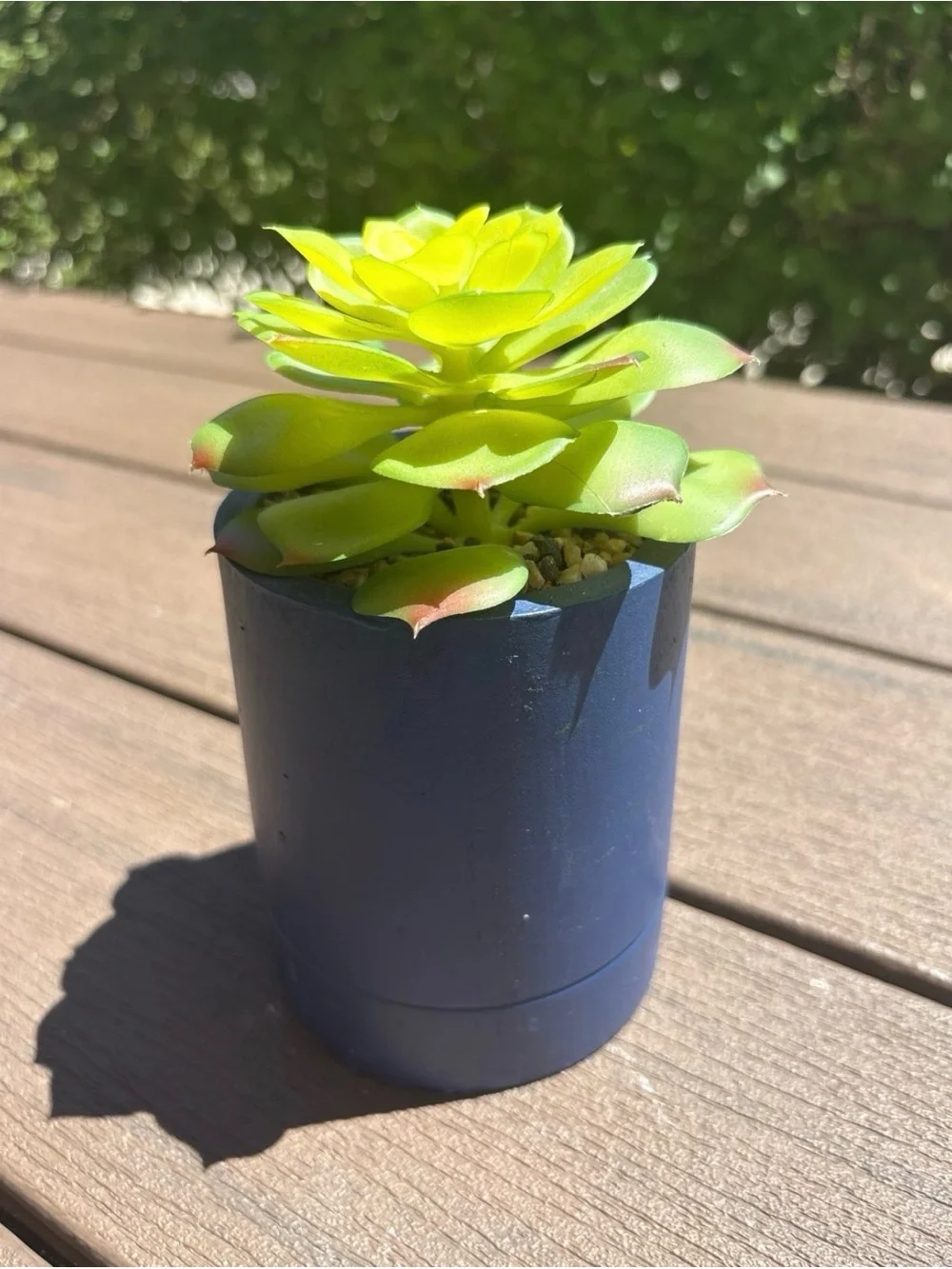 Bright Lime Green Succulent Navy Planter Container